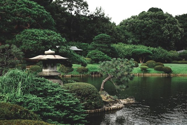 Jardin japonais avec pont et bassin